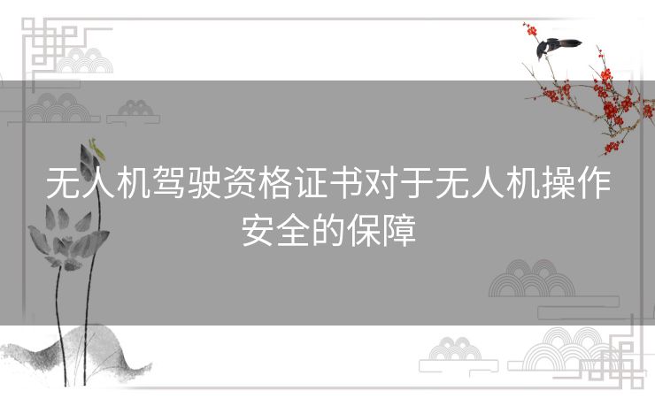 无人机驾驶资格证书对于无人机操作安全的保障 无人机驾驶资格证书对于无人机操作安全的保障