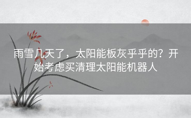 雨雪几天了,太阳能板灰乎乎的?开始考虑买清理太阳能机器人 雨雪几天了,太阳能板灰乎乎的?开始考虑买清理太阳能机器人