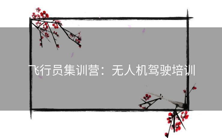 飞行员集训营:无人机驾驶培训 飞行员集训营:无人机驾驶培训
