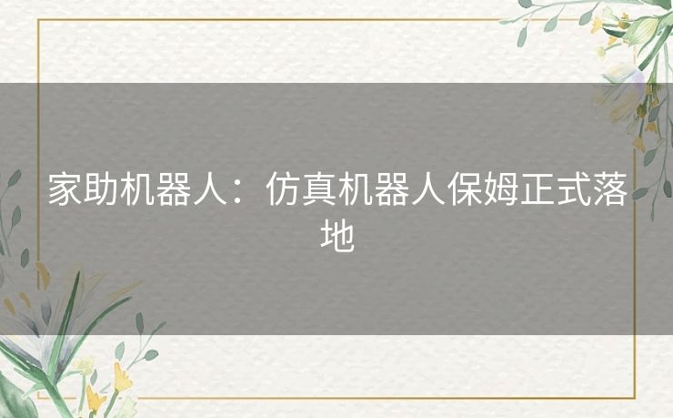 家助机器人:仿真机器人保姆正式落地 家助机器人:仿真机器人保姆正式落地
