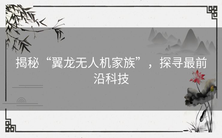 揭秘“翼龙无人机家族”,探寻最前沿科技 揭秘“翼龙无人机家族”,探寻最前沿科技