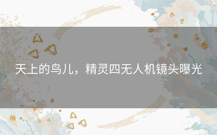 天上的鸟儿,精灵四无人机镜头曝光 天上的鸟儿,精灵四无人机镜头曝光