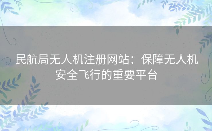 民航局无人机注册网站:保障无人机安全飞行的重要平台 民航局无人机注册网站:保障无人机安全飞行的重要平台