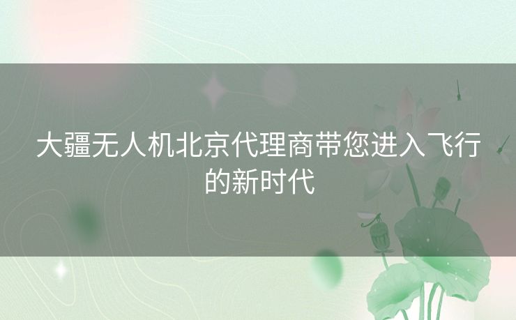 大疆无人机北京代理商带您进入飞行的新时代 大疆无人机北京代理商带您进入飞行的新时代