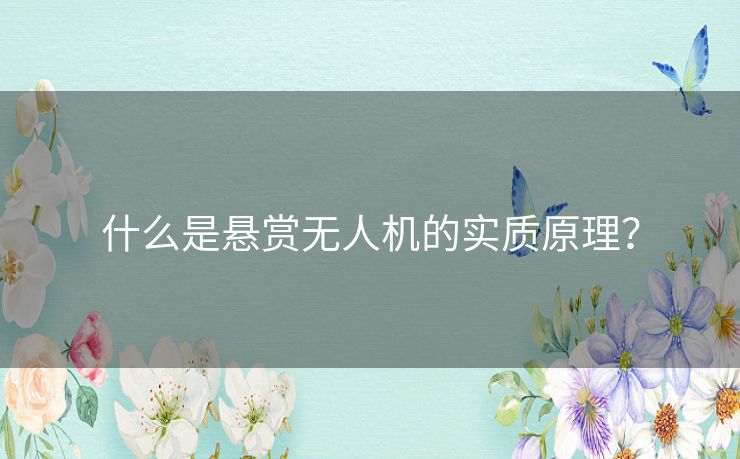 什么是悬赏无人机的实质原理？