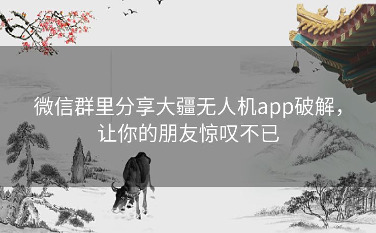 微信群里分享大疆无人机app破解,让你的朋友惊叹不已 微信群里分享大疆无人机app破解,让你的朋友惊叹不已