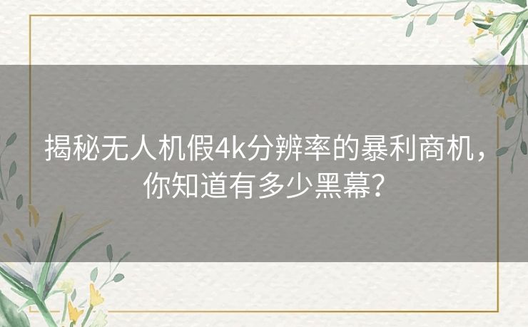揭秘无人机假4k分辨率的暴利商机,你知道有多少黑幕? 揭秘无人机假4k分辨率的暴利商机,你知道有多少黑幕?
