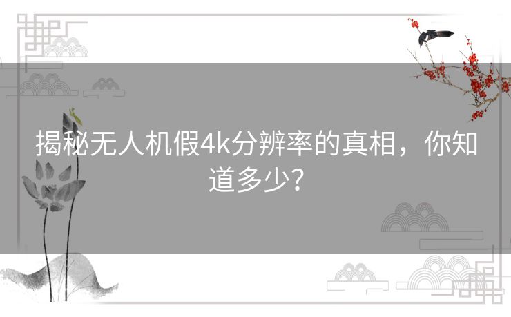 揭秘无人机假4k分辨率的真相,你知道多少? 揭秘无人机假4k分辨率的真相,你知道多少?