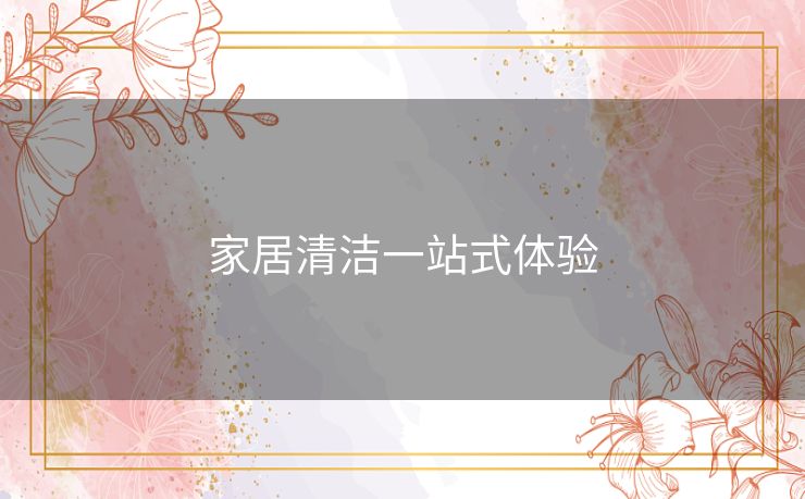 家居清洁一站式体验 家居清洁一站式体验