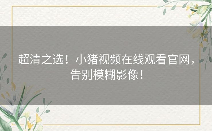 超清之选！小猪视频在线观看官网，告别模糊影像！