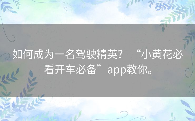 如何成为一名驾驶精英? “小黄花必看开车必备”app教你。 如何成为一名驾驶精英? “小黄花必看开车必备”app教你。