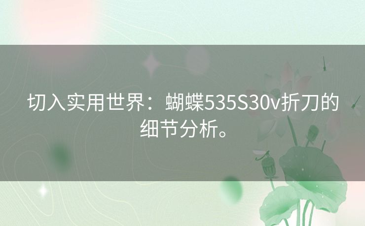 切入实用世界:蝴蝶535S30v折刀的细节分析。 切入实用世界:蝴蝶535S30v折刀的细节分析。
