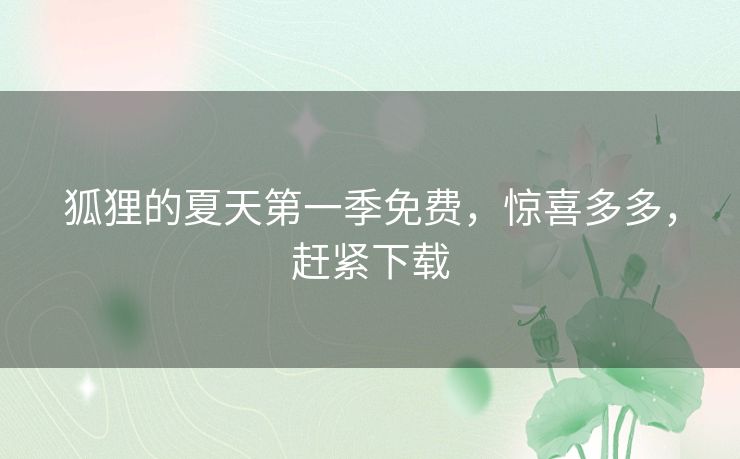 狐狸的夏天第一季免费，惊喜多多，赶紧下载