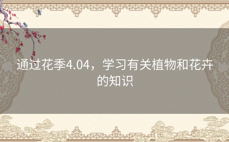 通过花季4.04,学习有关植物和花卉的知识 通过花季4.04,学习有关植物和花卉的知识