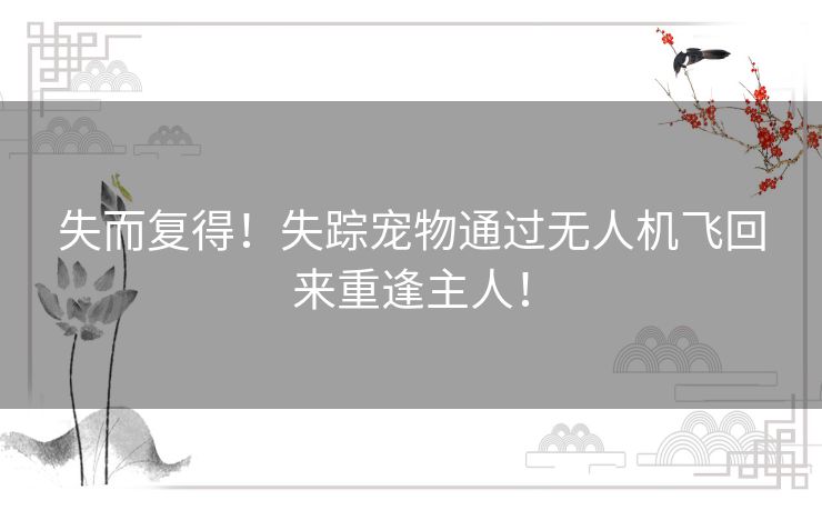 失而复得!失踪宠物通过无人机飞回来重逢主人! 失而复得!失踪宠物通过无人机飞回来重逢主人!