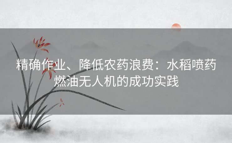 精确作业、降低农药浪费:水稻喷药燃油无人机的成功实践 精确作业、降低农药浪费:水稻喷药燃油无人机的成功实践