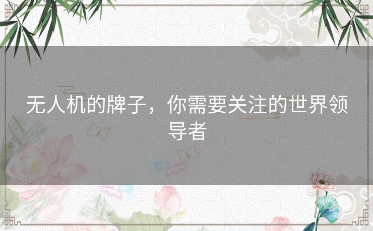 无人机的牌子,你需要关注的世界领导者 无人机的牌子,你需要关注的世界领导者