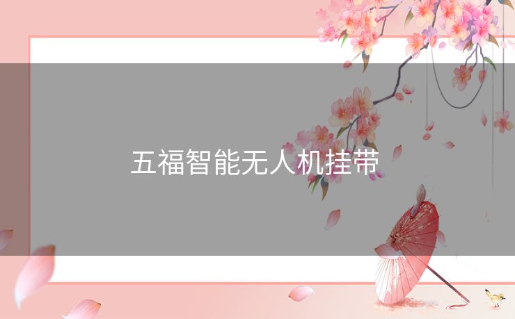 五福智能无人机挂带 五福智能无人机挂带