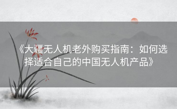 《大疆无人机老外购买指南:如何选择适合自己的中国无人机产品》 《大疆无人机老外购买指南:如何选择适合自己的中国无人机产品》