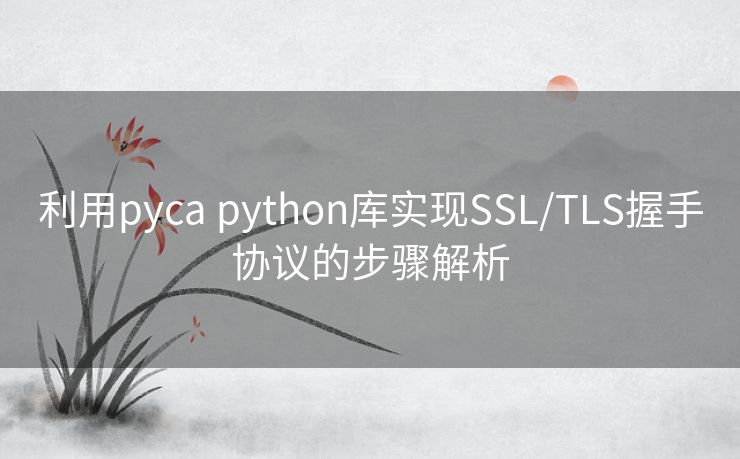 利用pyca python库实现SSL/TLS握手协议的步骤解析 利用pyca python库实现SSL/TLS握手协议的步骤解析