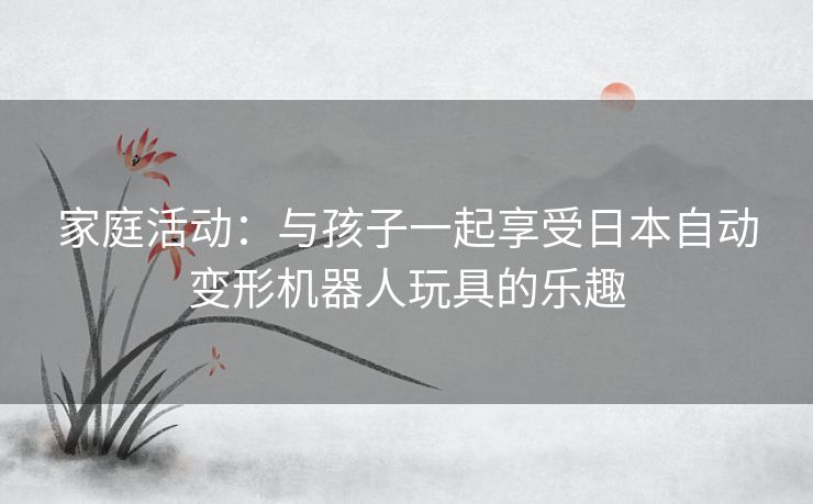 家庭活动:与孩子一起享受日本自动变形机器人玩具的乐趣 家庭活动:与孩子一起享受日本自动变形机器人玩具的乐趣
