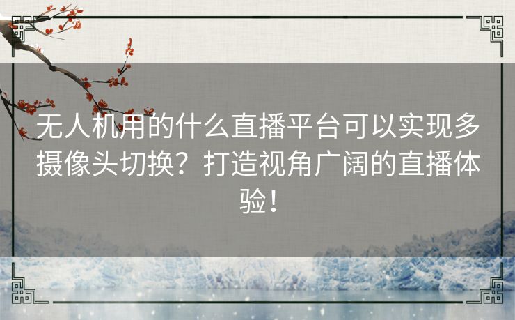 无人机用的什么直播平台可以实现多摄像头切换?打造视角广阔的直播体验! 无人机用的什么直播平台可以实现多摄像头切换?打造视角广阔的直播体验!