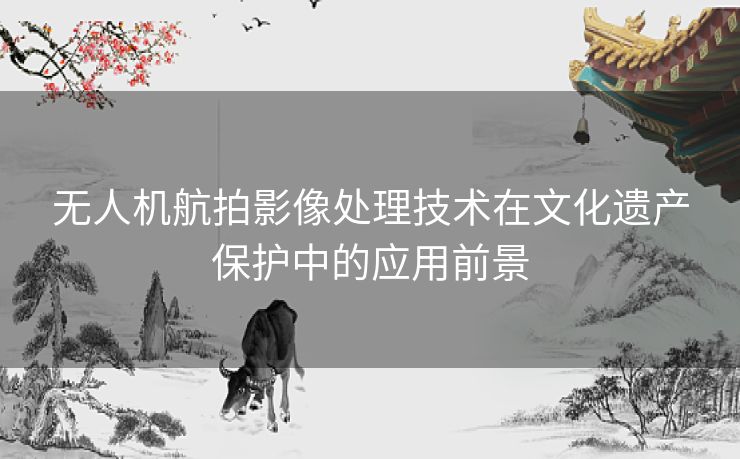 无人机航拍影像处理技术在文化遗产保护中的应用前景 无人机航拍影像处理技术在文化遗产保护中的应用前景