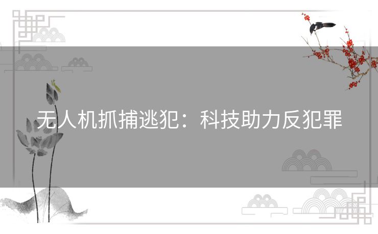 无人机抓捕逃犯:科技助力反犯罪 无人机抓捕逃犯:科技助力反犯罪