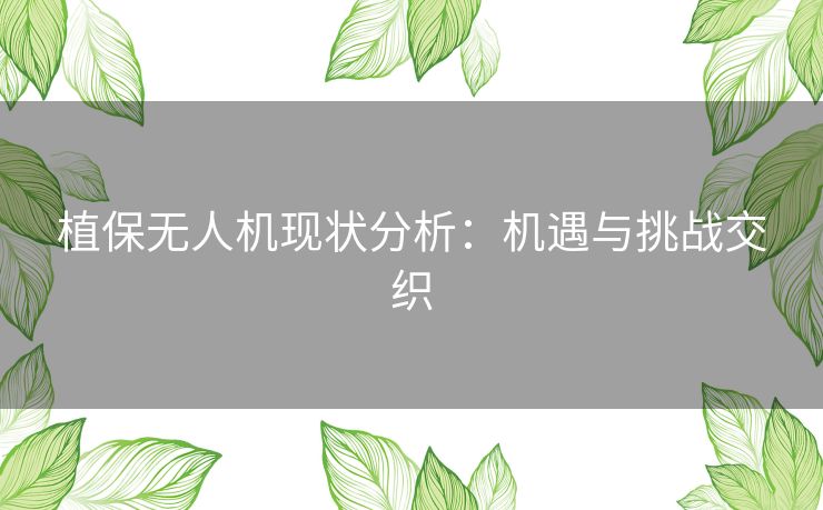 植保无人机现状分析:机遇与挑战交织 植保无人机现状分析:机遇与挑战交织