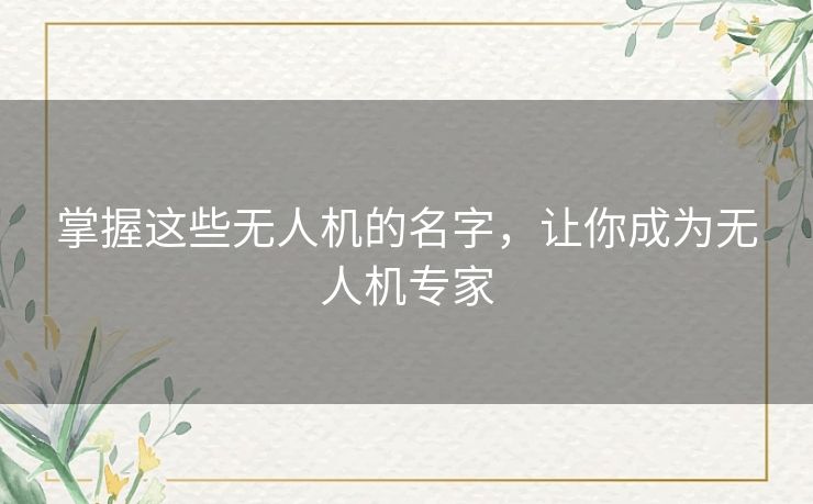 掌握这些无人机的名字,让你成为无人机专家 掌握这些无人机的名字,让你成为无人机专家