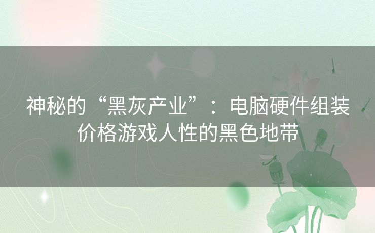 神秘的“黑灰产业”:电脑硬件组装价格游戏人性的黑色地带 神秘的“黑灰产业”:电脑硬件组装价格游戏人性的黑色地带