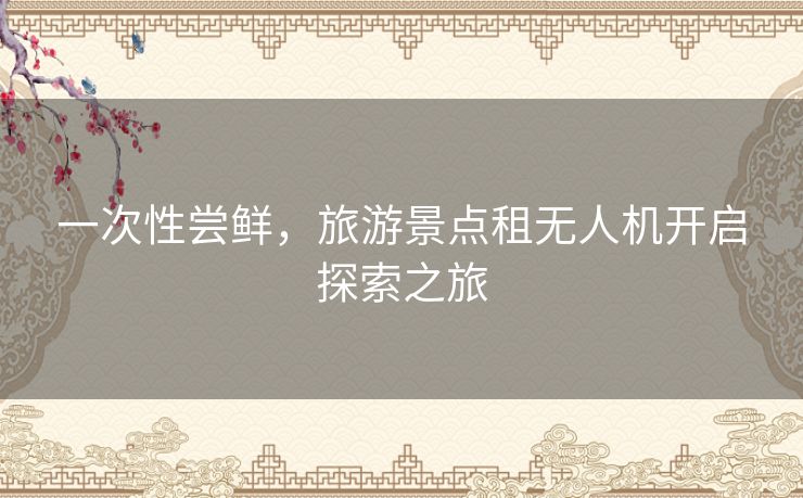 一次性尝鲜,旅游景点租无人机开启探索之旅 一次性尝鲜,旅游景点租无人机开启探索之旅