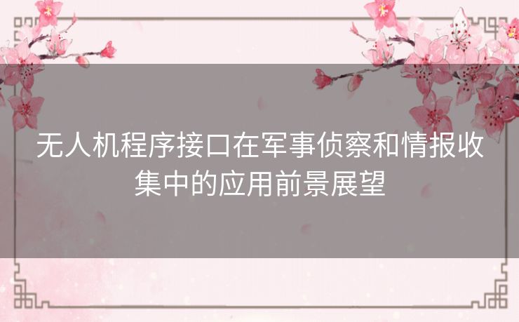 无人机程序接口在军事侦察和情报收集中的应用前景展望 无人机程序接口在军事侦察和情报收集中的应用前景展望