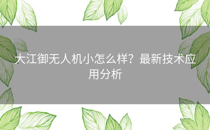 大江御无人机小怎么样?最新技术应用分析 大江御无人机小怎么样?最新技术应用分析