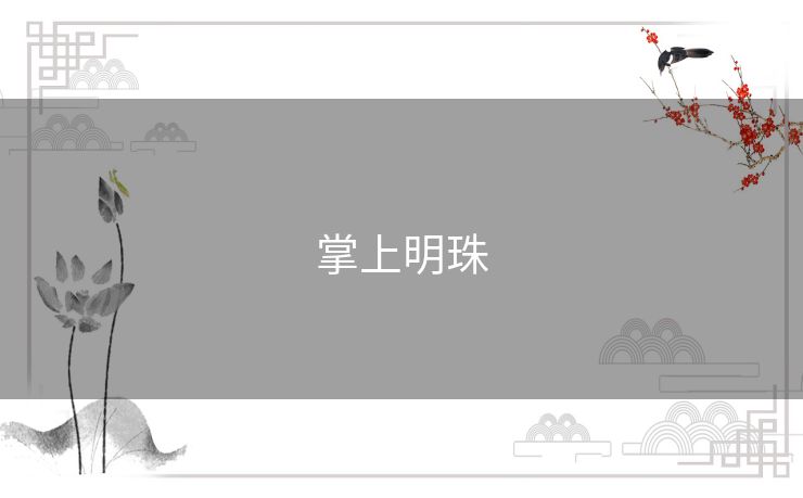 掌上明珠 掌上明珠