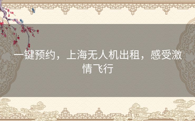 一键预约,上海无人机出租,感受激情飞行 一键预约,上海无人机出租,感受激情飞行