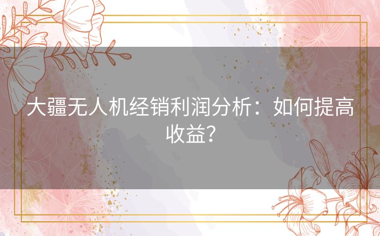 大疆无人机经销利润分析:如何提高收益? 大疆无人机经销利润分析:如何提高收益?