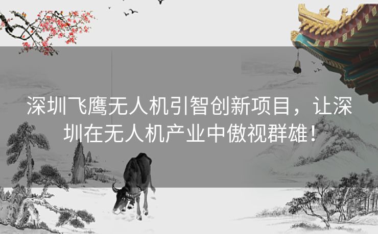 深圳飞鹰无人机引智创新项目,让深圳在无人机产业中傲视群雄! 深圳飞鹰无人机引智创新项目,让深圳在无人机产业中傲视群雄!