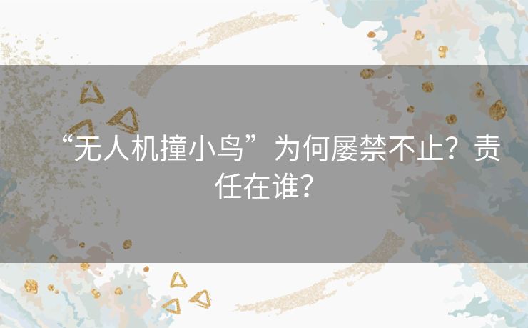 “无人机撞小鸟”为何屡禁不止?责任在谁? “无人机撞小鸟”为何屡禁不止?责任在谁?