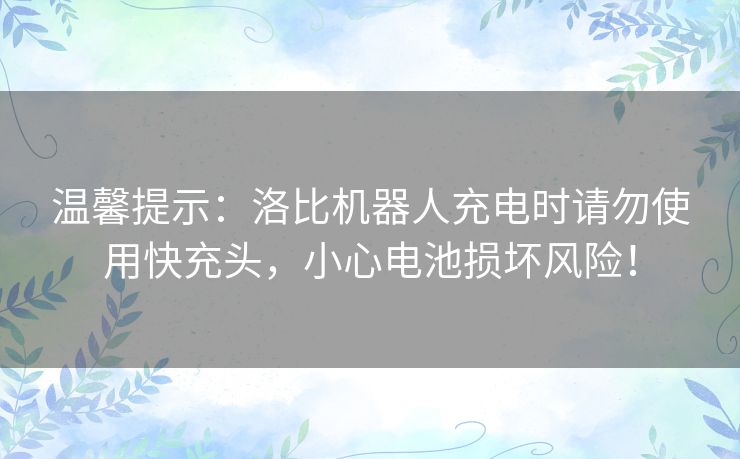 温馨提示:洛比机器人充电时请勿使用快充头,小心电池损坏风险! 温馨提示:洛比机器人充电时请勿使用快充头,小心电池损坏风险!