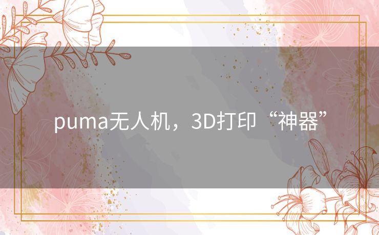 puma无人机,3D打印“神器” puma无人机,3D打印“神器”