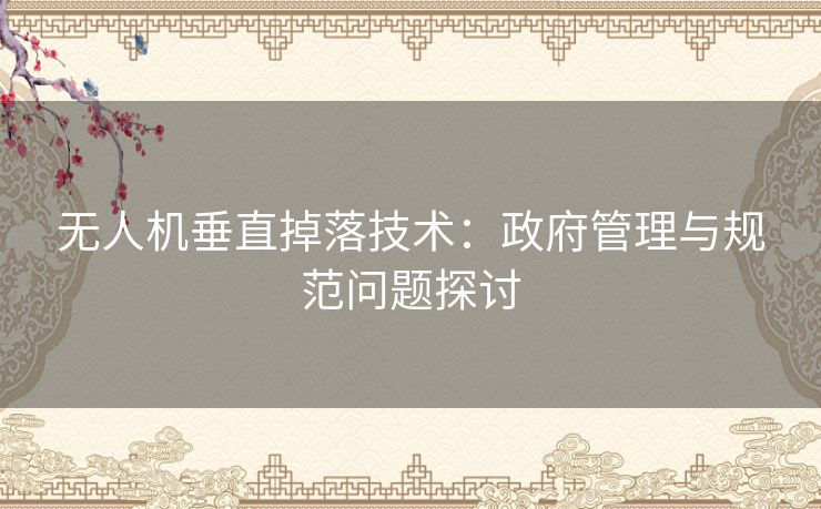 无人机垂直掉落技术:政府管理与规范问题探讨 无人机垂直掉落技术:政府管理与规范问题探讨