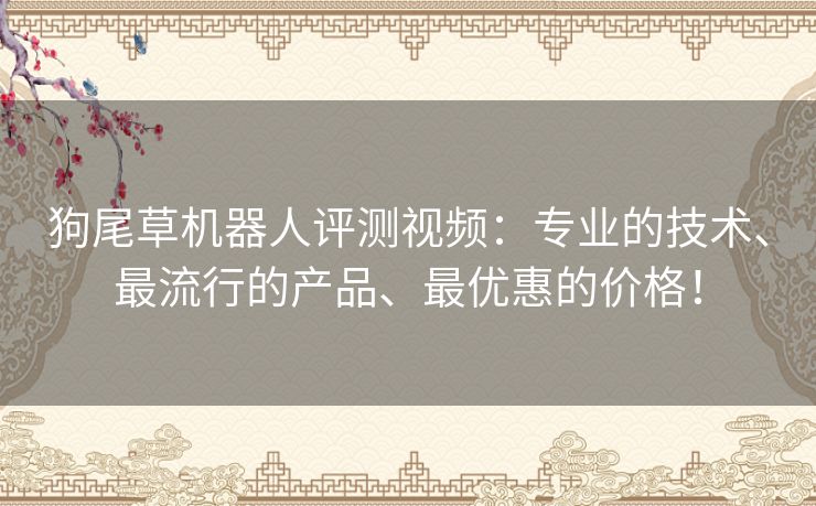 狗尾草机器人评测视频:专业的技术、最流行的产品、最优惠的价格! 狗尾草机器人评测视频:专业的技术、最流行的产品、最优惠的价格!