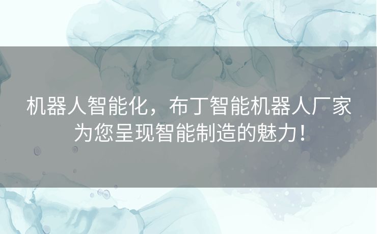 机器人智能化,布丁智能机器人厂家为您呈现智能制造的魅力! 机器人智能化,布丁智能机器人厂家为您呈现智能制造的魅力!
