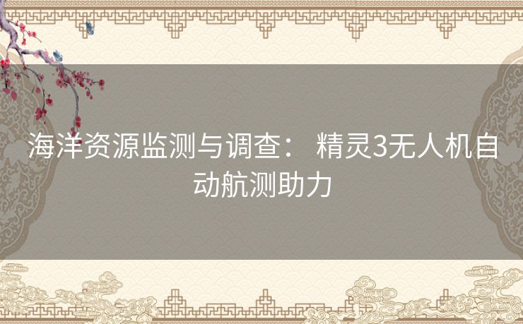 海洋资源监测与调查: 精灵3无人机自动航测助力 海洋资源监测与调查: 精灵3无人机自动航测助力