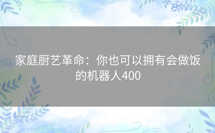 家庭厨艺革命:你也可以拥有会做饭的机器人400 家庭厨艺革命:你也可以拥有会做饭的机器人400