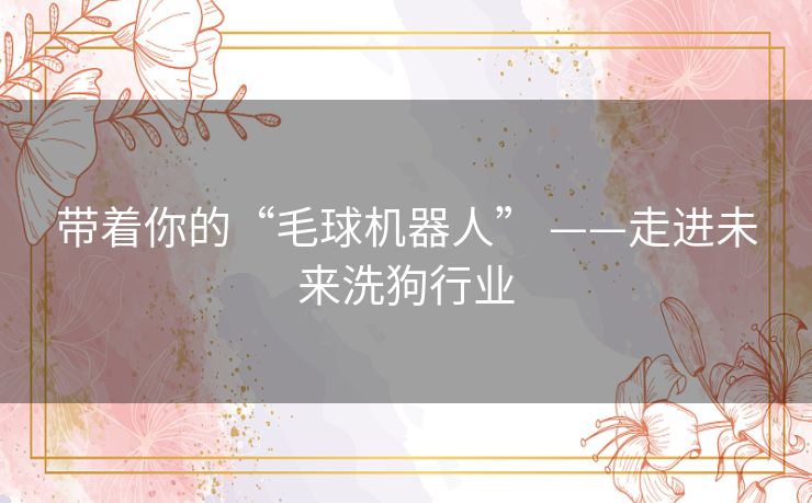 带着你的“毛球机器人” ——走进未来洗狗行业 带着你的“毛球机器人” ——走进未来洗狗行业