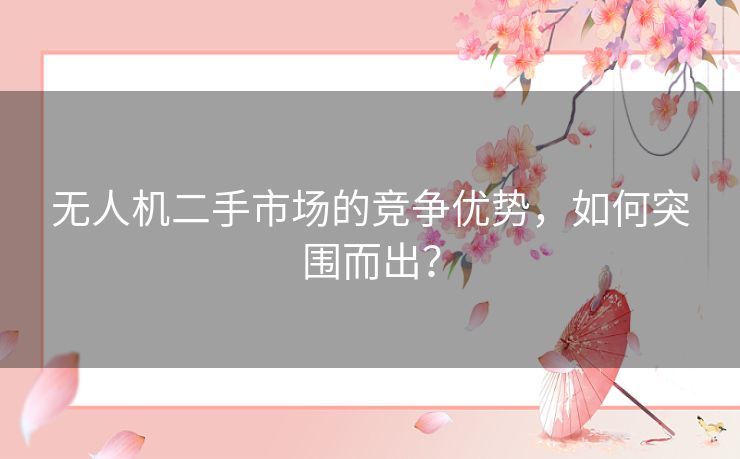 无人机二手市场的竞争优势,如何突围而出? 无人机二手市场的竞争优势,如何突围而出?