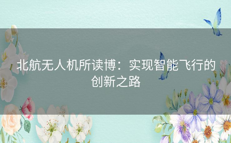 北航无人机所读博:实现智能飞行的创新之路 北航无人机所读博:实现智能飞行的创新之路