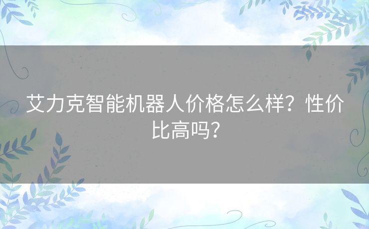 艾力克智能机器人价格怎么样?性价比高吗? 艾力克智能机器人价格怎么样?性价比高吗?